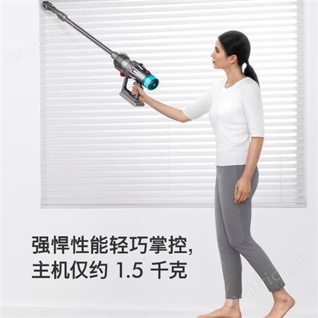戴森（DYSON）V12 Origin轻量吸尘器手持无线 除螨 宠物 家庭适用定制
