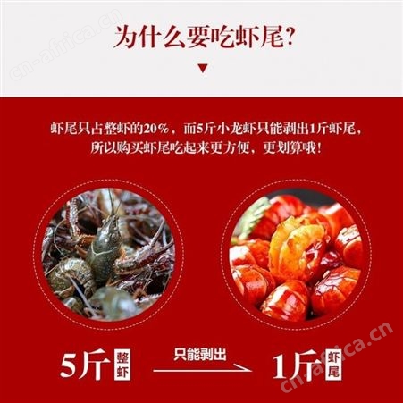 虾尾小龙虾冷冻鲜活1斤包邮特大龙虾球大号龙虾冷冻洪湖代发