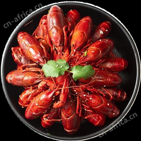 [拍1发4]麻辣小龙虾熟食加热即食蒜蓉十三香非龙虾尾冷冻整虾