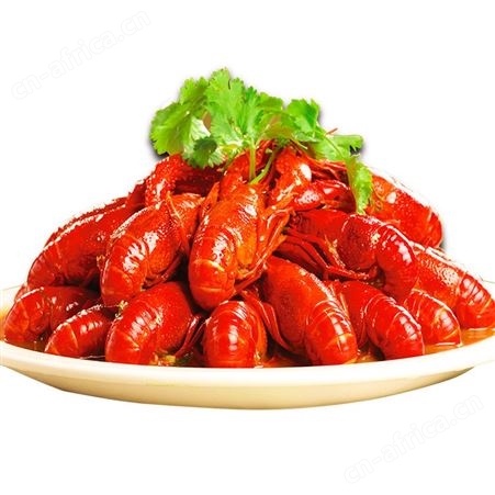 洪湖农家麻辣小龙虾750g 速冻熟食十三香小龙虾 活虾制顺丰包邮