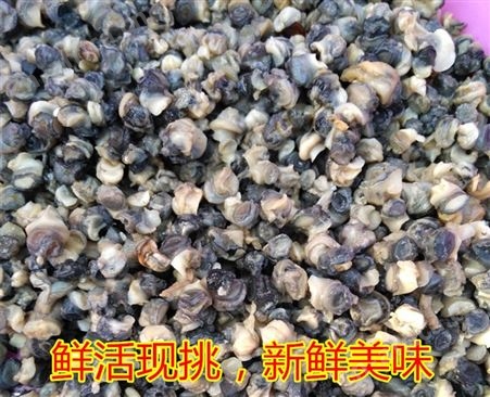野生农家新鲜手工挑选1斤装冷冻螺蛳肉石螺肉嗦螺肉螺丝肉田螺肉