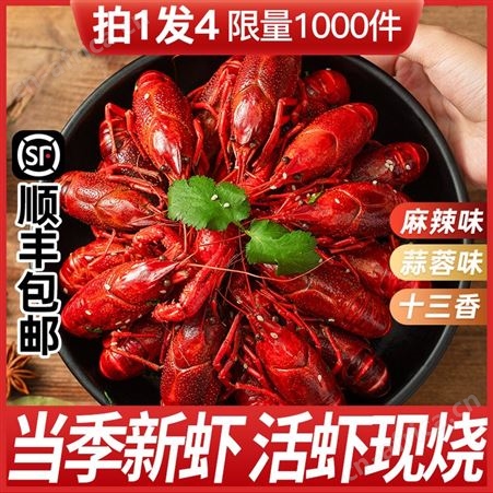 [拍1发4]麻辣小龙虾熟食加热即食蒜蓉十三香非龙虾尾冷冻整虾