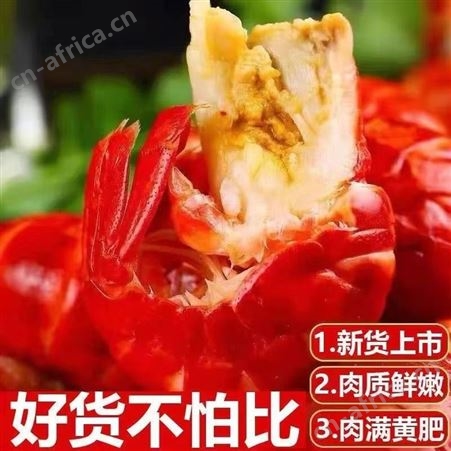 龙虾尾特大号活虾现剥麻辣小龙虾虾球海鲜速卖通亚马逊代发