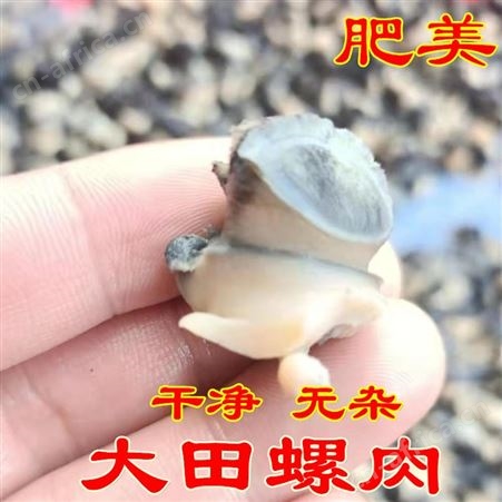 田螺肉新鲜螺丝肉农家现挑野生石螺蛳肉新鲜冷冻半斤真空装嗦螺肉