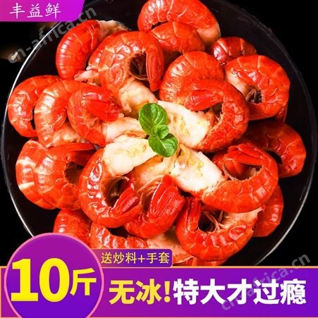小龙虾尾冷冻生鲜特大号龙虾球大鲜活鲜冻新鲜无冰衣10斤整箱