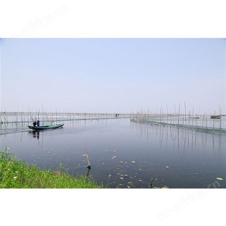 【工厂直批】洪湖湿地清水小龙虾700g*10盒加热即食