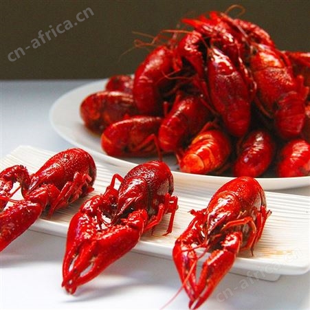 洪湖农家麻辣小龙虾750g 速冻熟食十三香小龙虾 活虾制顺丰包邮