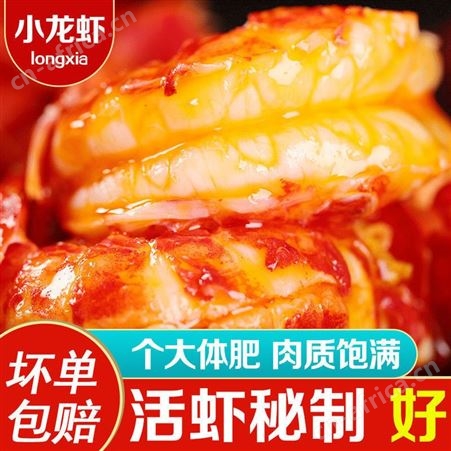 麻辣小龙虾香辣十三香蒜香蓉味活虾秘制大号小龙虾尾球加热即熟食挺值