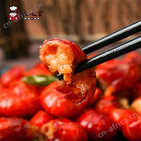 双儿家小龙虾尾即食麻辣虾尾香辣龙虾熟食虾球小龙虾小海鲜罐装