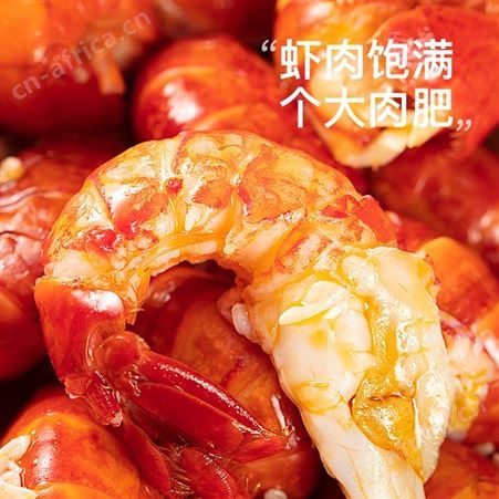 [拍1发4]麻辣小龙虾熟食加热即食蒜蓉十三香非龙虾尾冷冻整虾