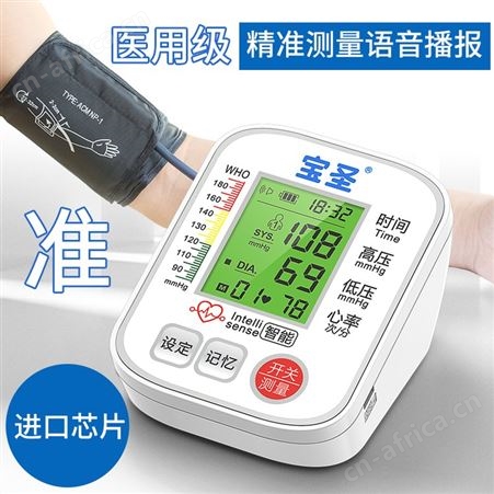 RAK263上臂式全自动进口芯片语音清晰体型小巧