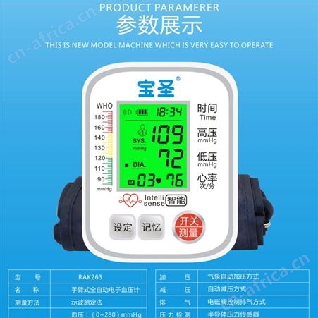 RAK263上臂式全自动进口芯片语音清晰体型小巧